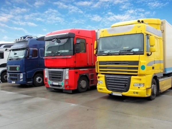 İzmir Erfelek Nakliye